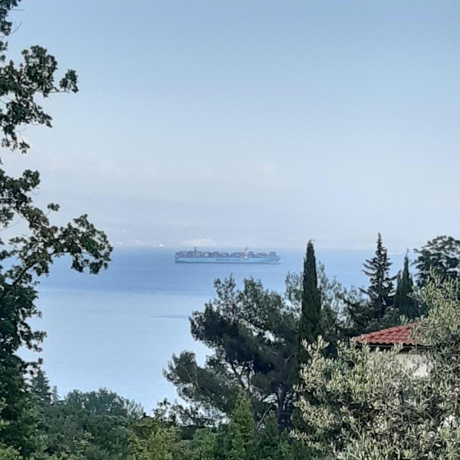Apartman Nevia Lka Opric Buitenkant foto